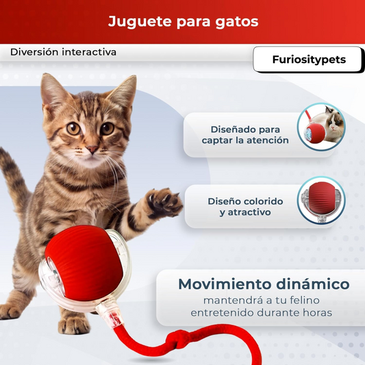 Juguete Interactivo para Gatos y Perros